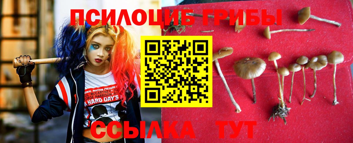 Галлюциногенные грибы мухоморы  Вход с VPN  Губкин 